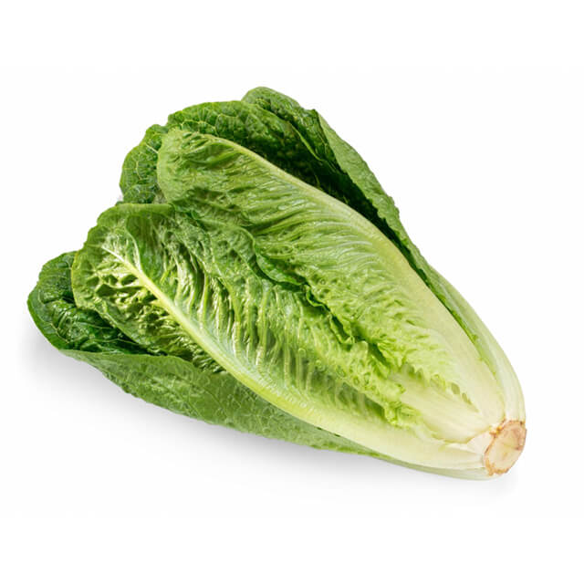 product 55 Romaine Hearts - Image 4