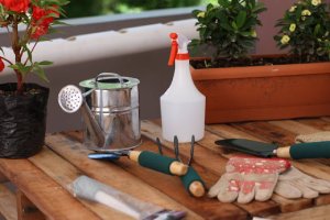 Outdoor & Garden